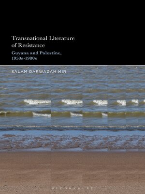 cover image of Transnational Literature of Resistance